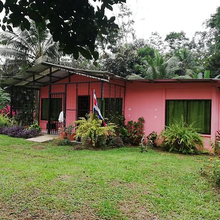 Paraiso Verde Siqurres Da Alegria Esterno foto