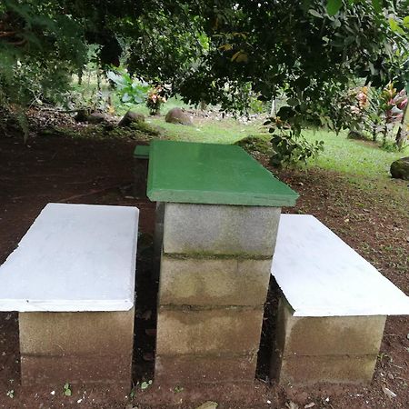 Paraiso Verde Siqurres Da Alegria Esterno foto