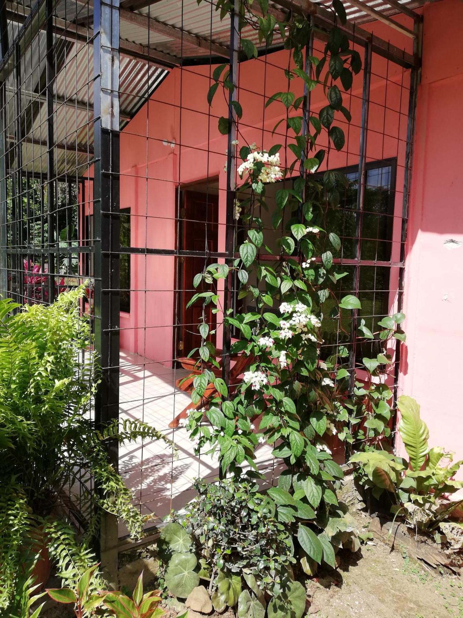 Paraiso Verde Siqurres Da Alegria Esterno foto