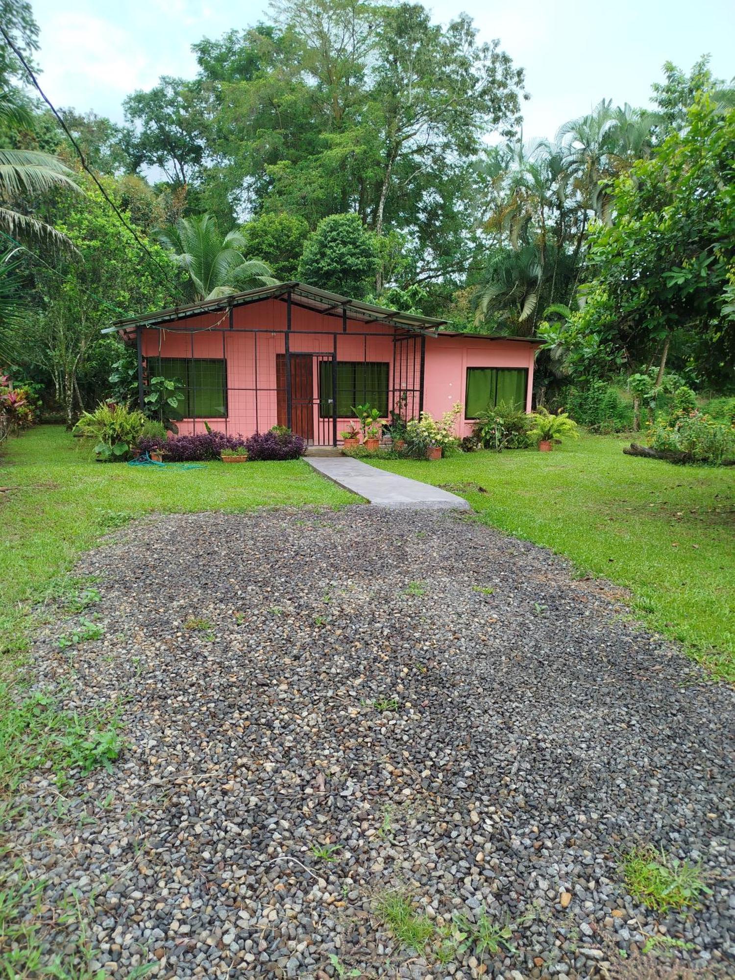 Paraiso Verde Siqurres Da Alegria Camera foto